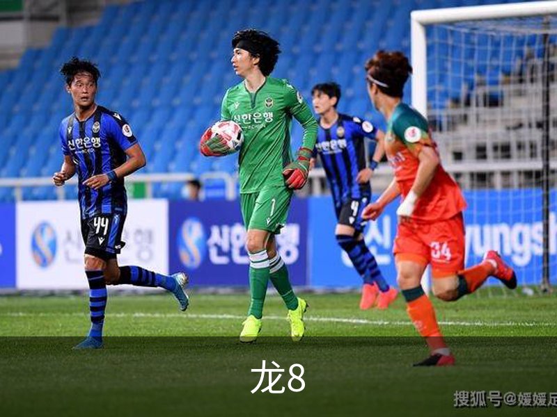 龙8介绍